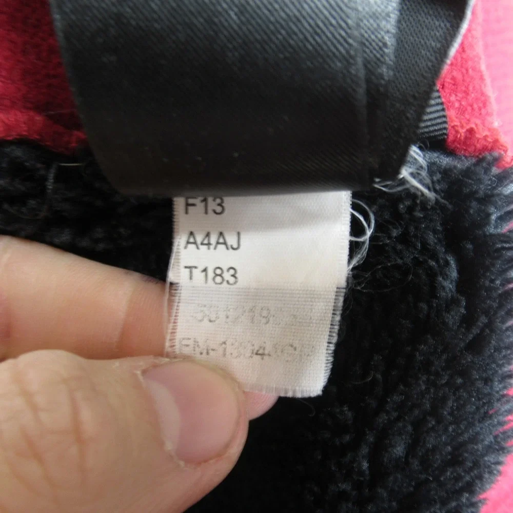 The North Face men north